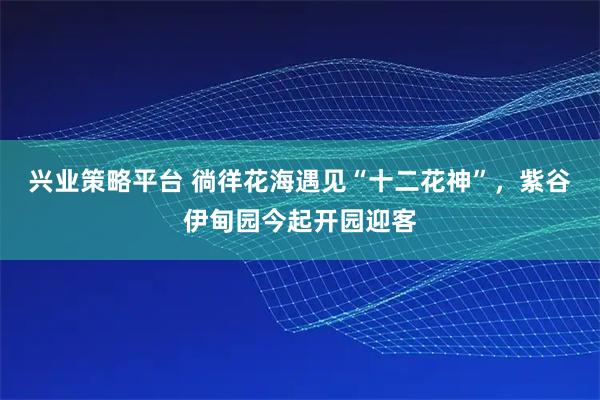 兴业策略平台 徜徉花海遇见“十二花神”，紫谷伊甸园今起开园迎客