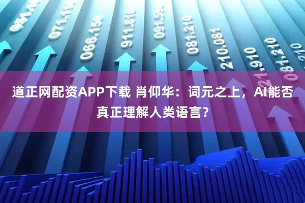 道正网配资APP下载 肖仰华：词元之上，AI能否真正理解人类语言？