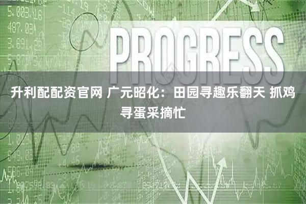 升利配配资官网 广元昭化：田园寻趣乐翻天 抓鸡寻蛋采摘忙