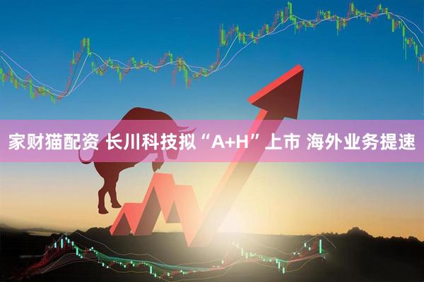 家财猫配资 长川科技拟“A+H”上市 海外业务提速